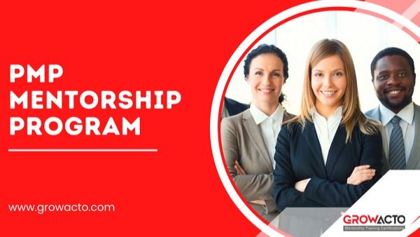 PMP Mentorship Program